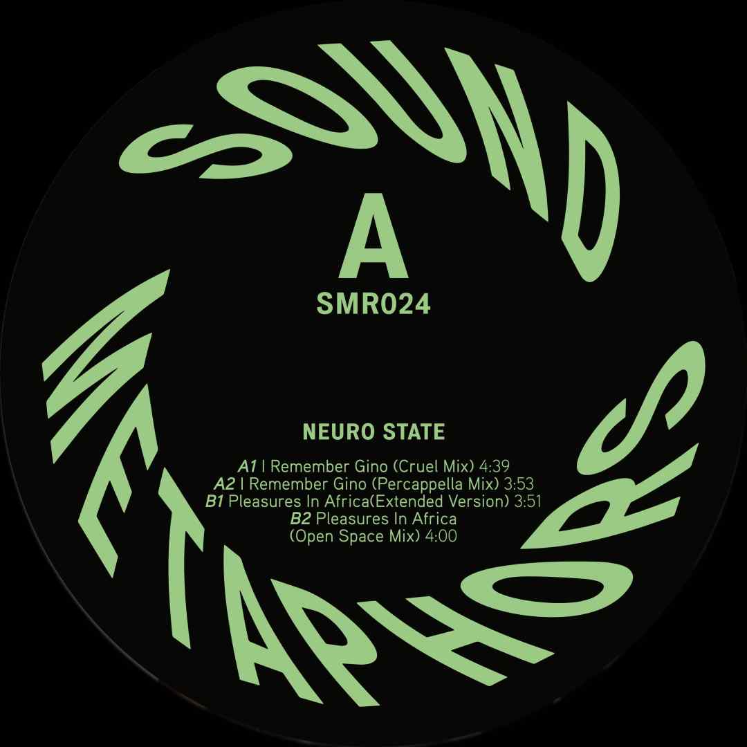 I Remember Gino / Pleasures In Africa - Image 4