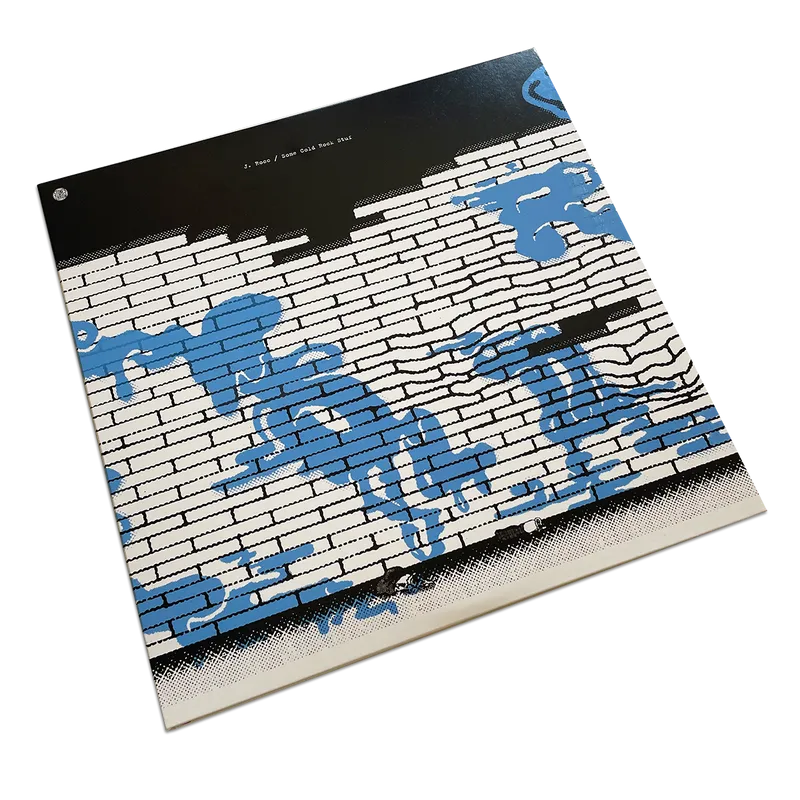 Some Cold Rock Stuf (deluxe LP edition) - Image 3